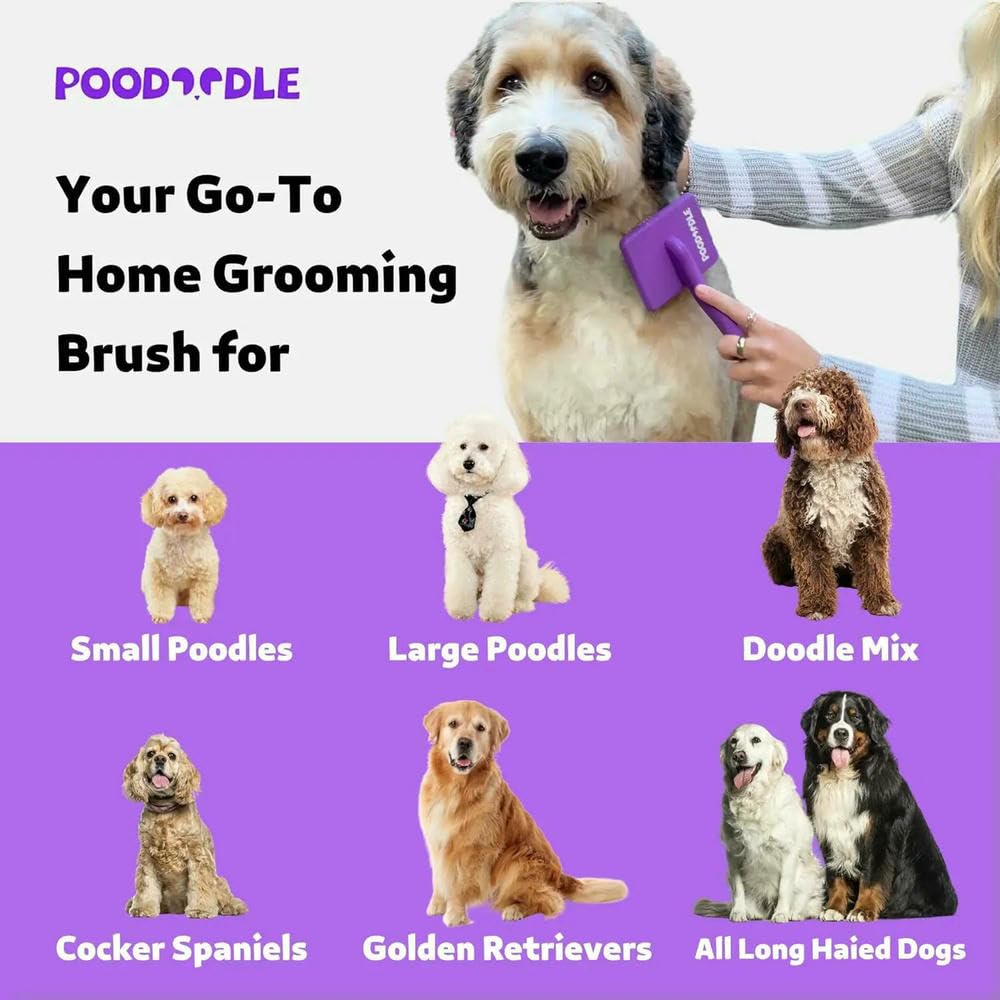 DYRBF - Cepillo para perros para caniche, garabatos y perros de pelo largo, cepillo de madera grande para desenredar y desenredar en casa