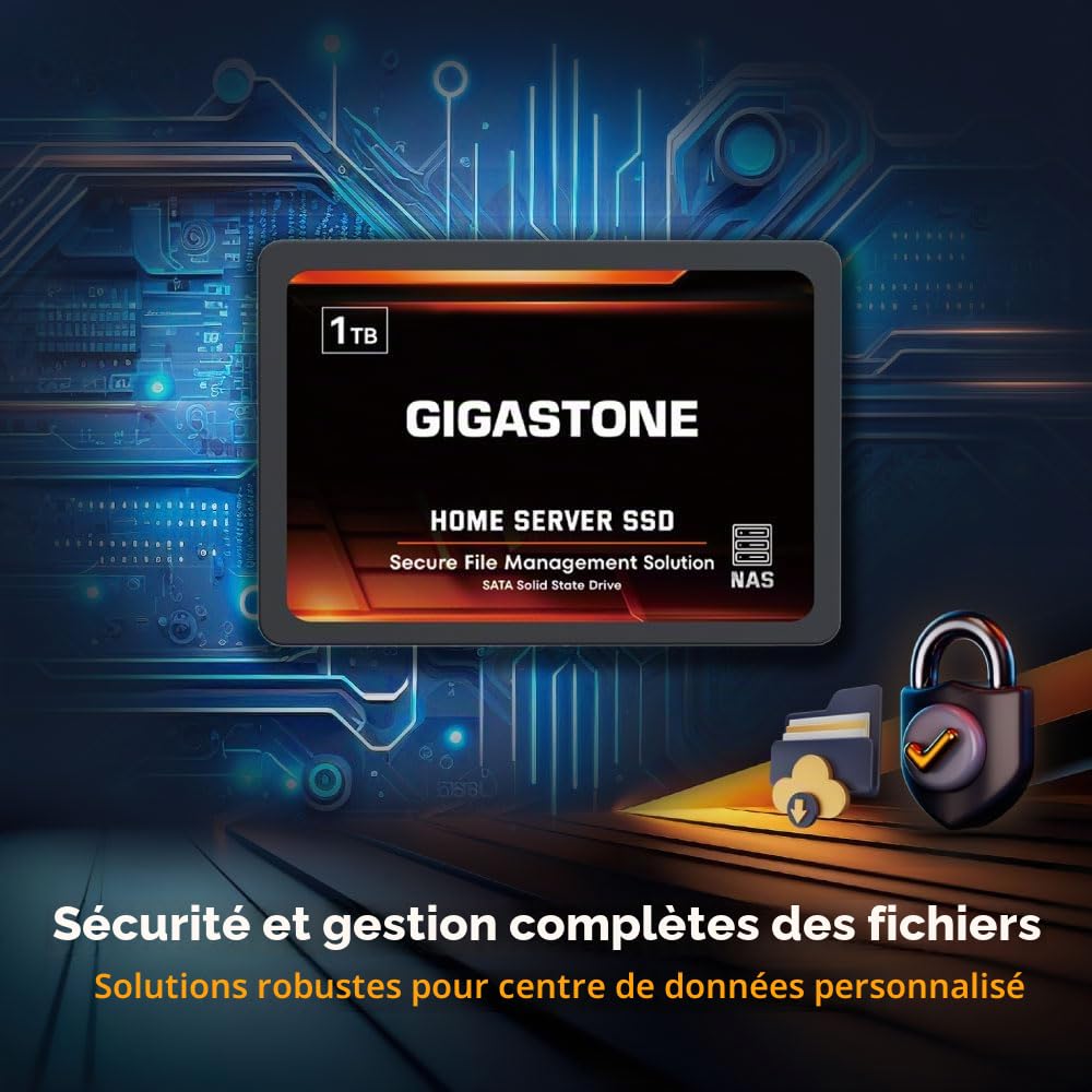 Gigastone Serveur SSD 1To NAS SSD Cache 24h/24 et 7j/7 TLC Haute Endurance Business Secure Personal Cloud Créatif Professionnel Réseau Attaché Stockage Raid 2,5" SATA Disques durs internes SSD