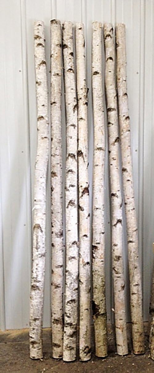 Wilson White Birch Poles, Natural, Kiln Dried, Home Decor Birch (Set of 4, 3 ft Long x 1.5-2.5 inch Diameter)