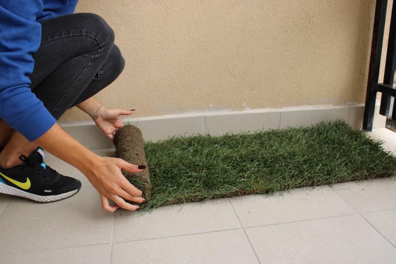 PratoErboso GreenZolla - L' Originale Lettiera per Gatti in Erba Vera Naturale, Traversina 100% Naturale Cuccia per Gatti in Vero Prato, Zona Gioco e Relax per Animali Misura Maxi