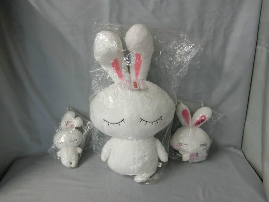 大塚愛　LOVE うさぎ　ぬいぐるみセット 71VjY4ZvRPL._AC_SY200_QL15_.jpg