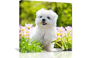 Personalized Wall Art: Capture Memories, Enhance Home Décor