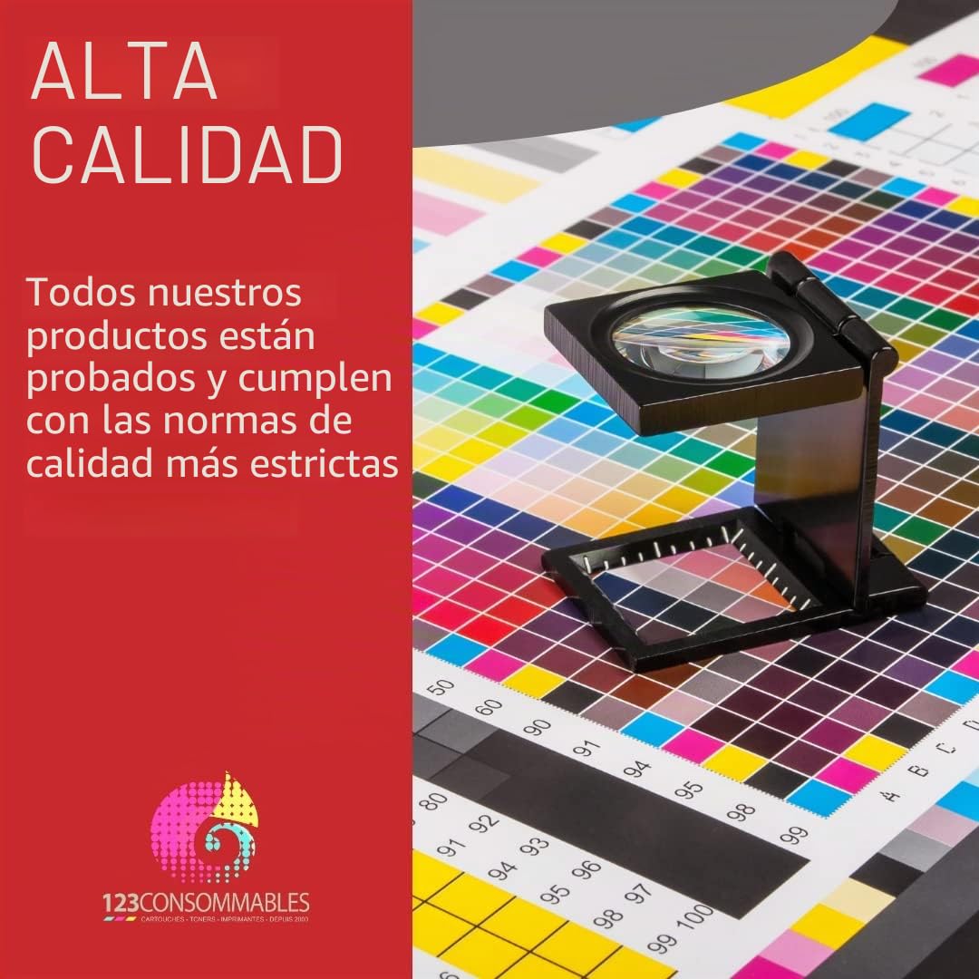 Epson T01D100 Cartucho de Tinta Original Negro 1 Pieza(s) - Cartucho de Tinta para impresoras (Original, Tinta a Base de pigmentos, Negro, Workforce Pro WF-C529R / C579R, 1 Pieza(s))