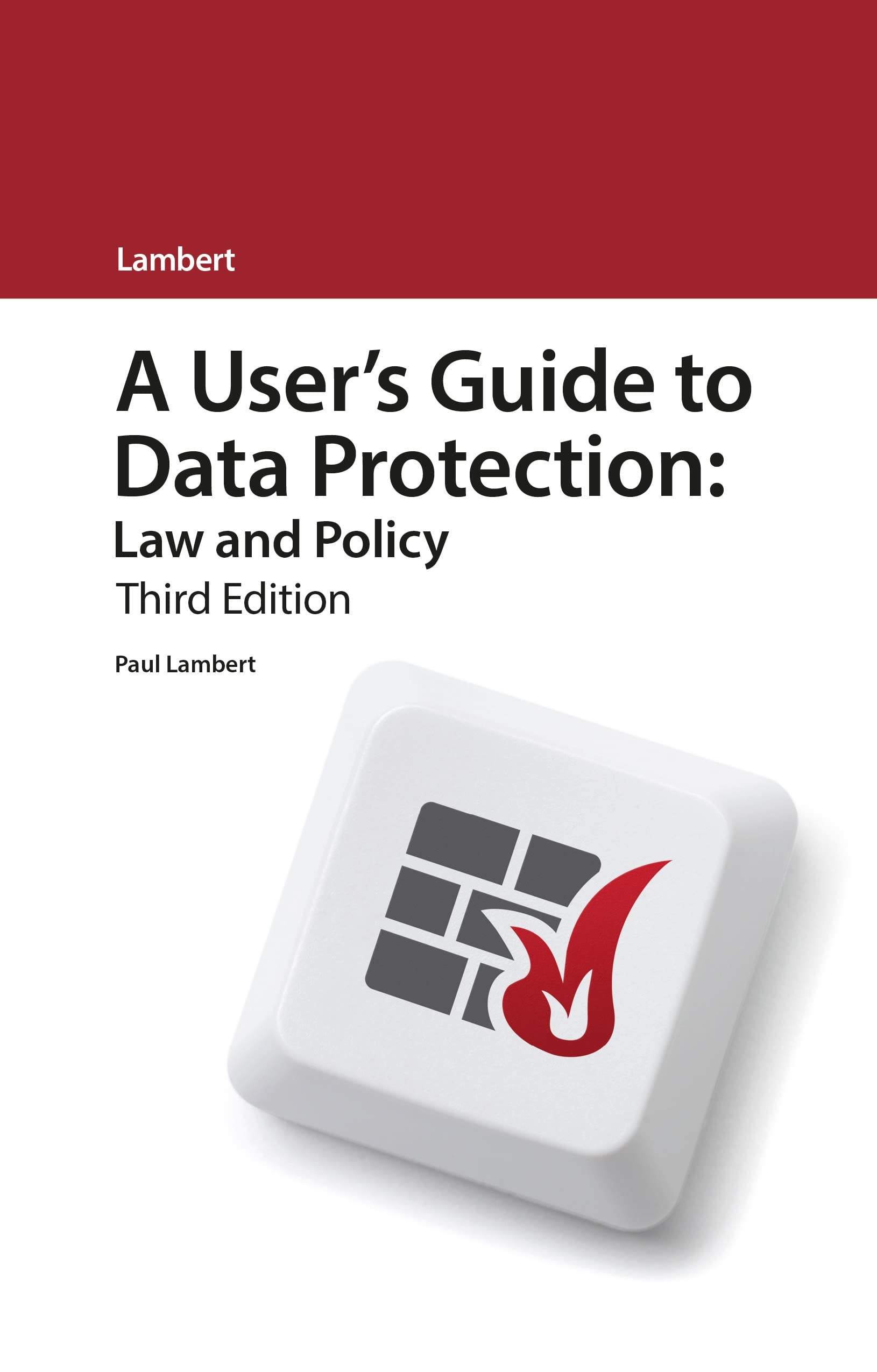 Buy A User’s Guide to Data Protection: Law and Policy (A User's Guide to... Series) — BookShops.in