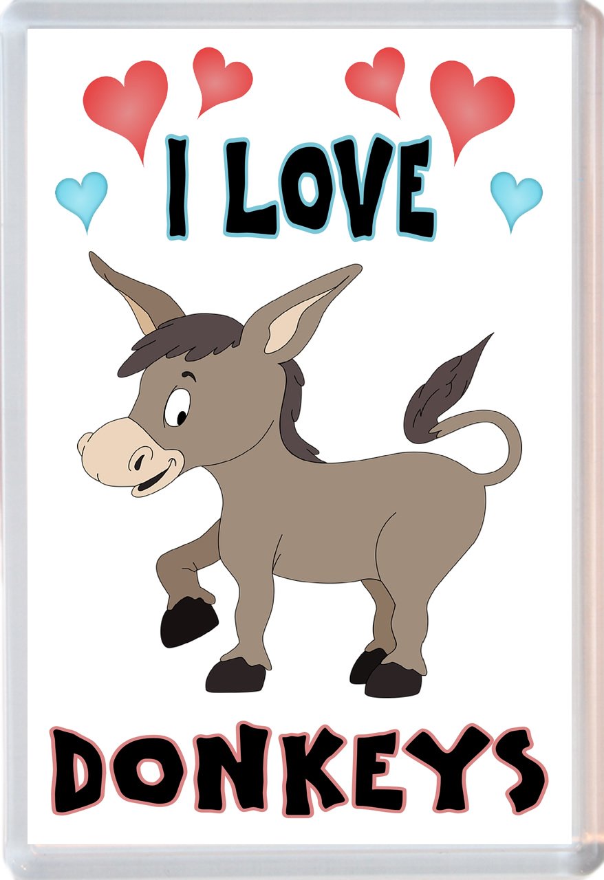 I Love Donkeys/Donkey - Jumbo Fridge Magnet
