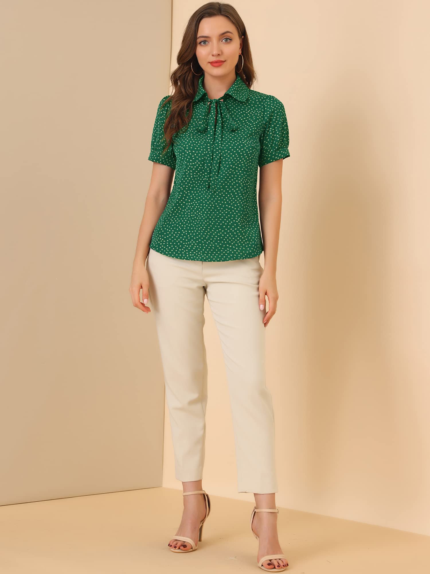 Allegra K Women's Retro Polka Dots Tops Bow Tie Neck Peter Pan Collar Chiffon Blouse