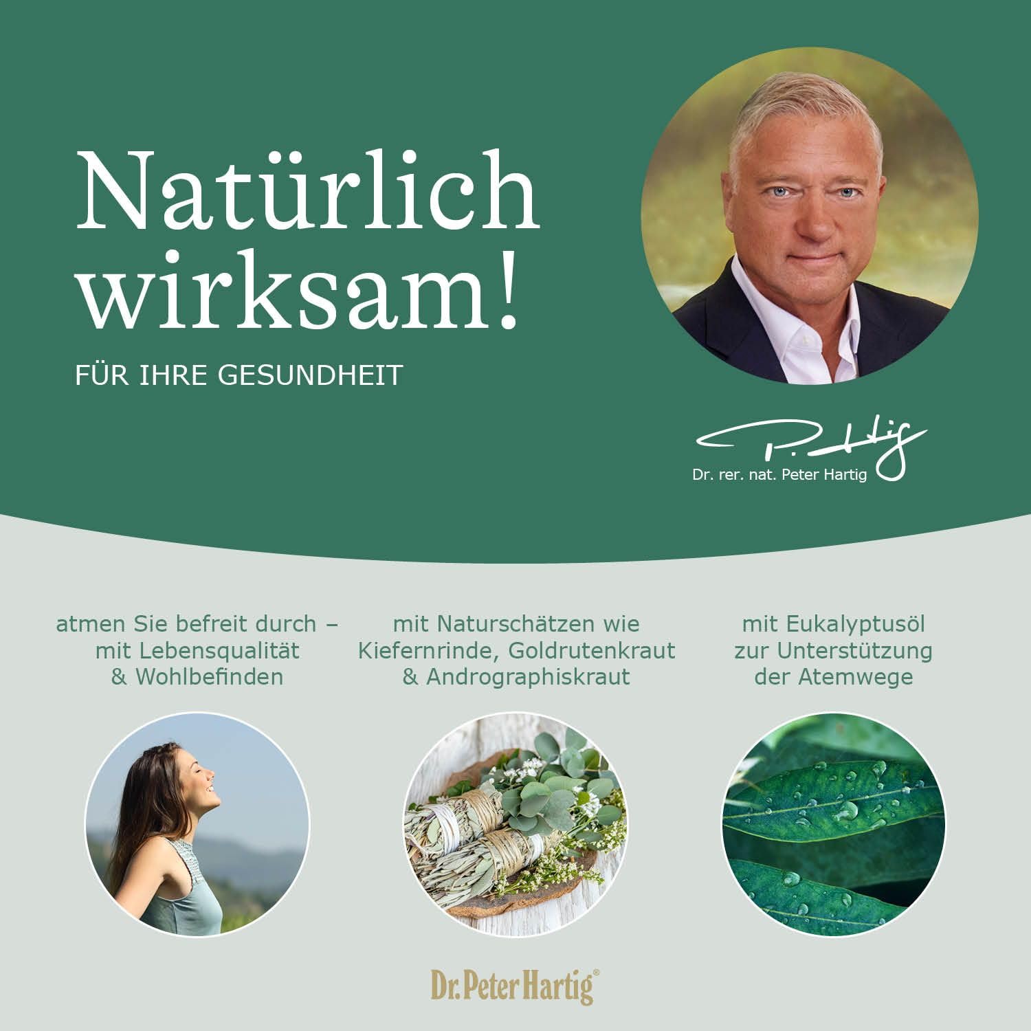 Dr. Peter Hartig Atem Kraft Forte, unterstützt die Atmung und Lunge, OPC, Eukalyptusöl, 120 Kapseln 4-Monats-Vorrat Lactose- Gluten- und Hefefrei