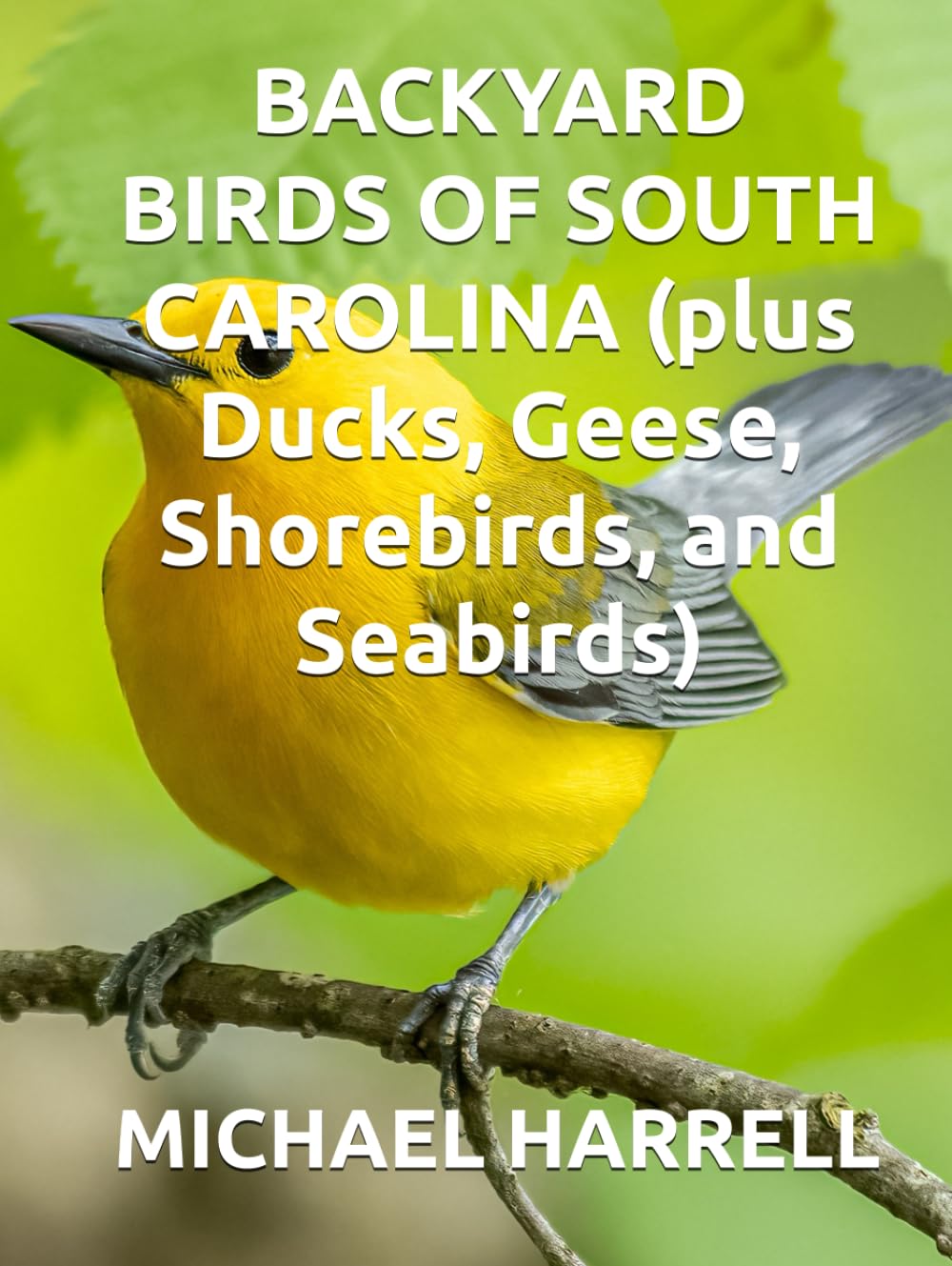BACKYARD BIRDS OF SOUTH CAROLINA (plus Ducks, Geese, Shorebirds, and Seabirds) (Wildlife of North America and other educational books.)