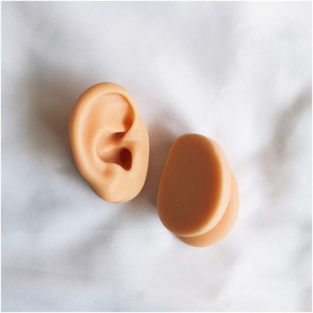 Sjdopulse D Silicone Ear Model For Acupuncture - Life Size Artificial Ear Model - Simulation Silicone Ear Model For Ear Picking Practice,Studs Earring Isplay Props (D)