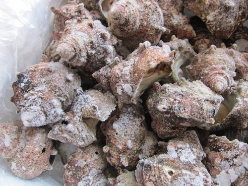 ���Ȃ����u��������10kg�v�Ƃꂽ�Ē���!!