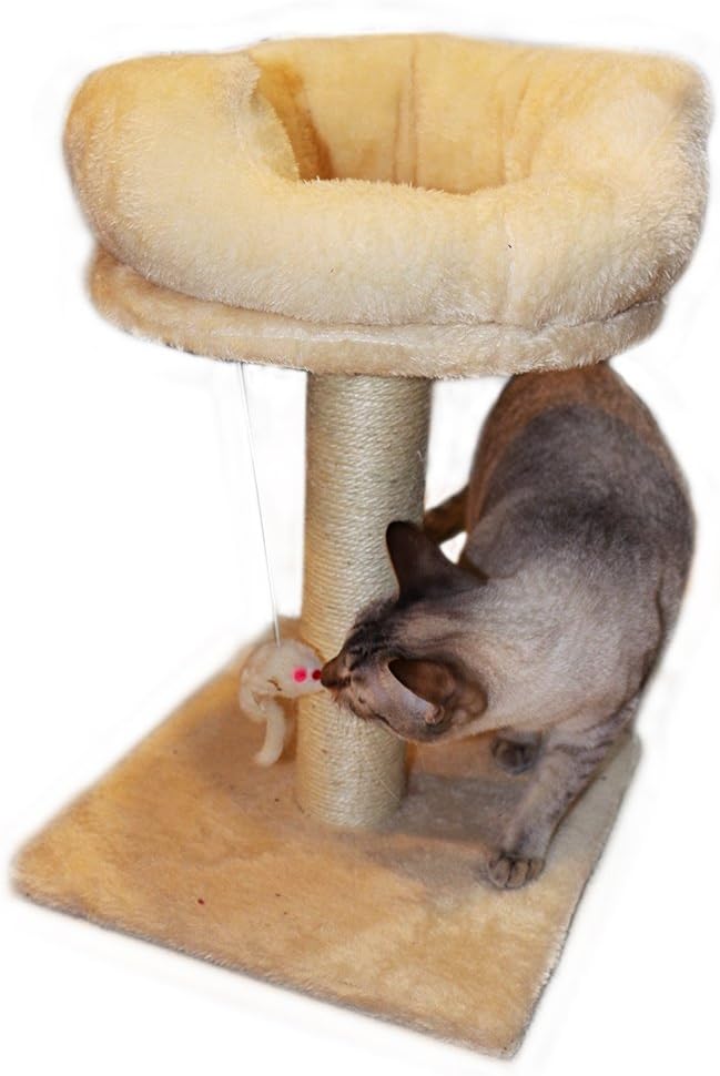 Gsisee Cat Scratching Post with Hanging Toy& Plush Base, Cat Bed, Natural Sisal Rope healthy for cats. (Beige)