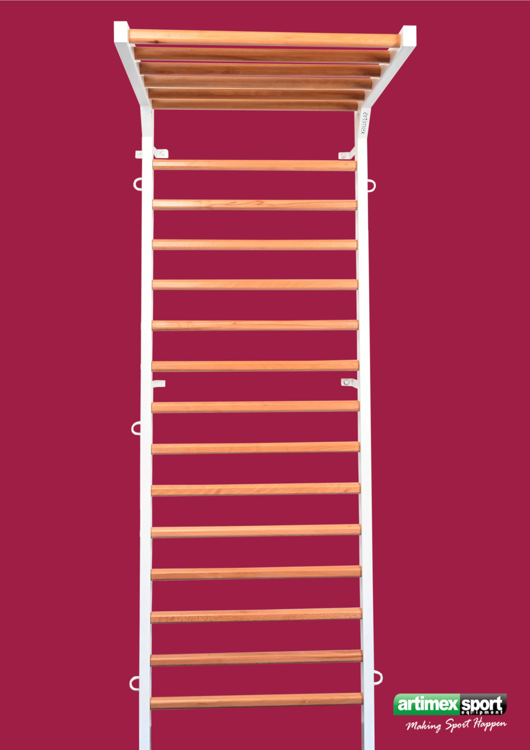 ARTIMEX spalliera in Metallo/Legno per Terapia Fisica e Ginnastica - utilizzato in Case, palestre, cliniche e Centri Fitness - 240x90 cm, Modello Spartan, codice 277