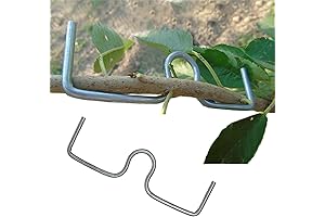 Fruit Tree Branch Spreader: Essential Tool for Improved Yield