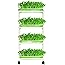 4 Layers Sprout Trays with Extra Strength Plastic Shelf Soil-Free Healthy Wheatgrass Seeds Grower & Storage Trays for Garden 