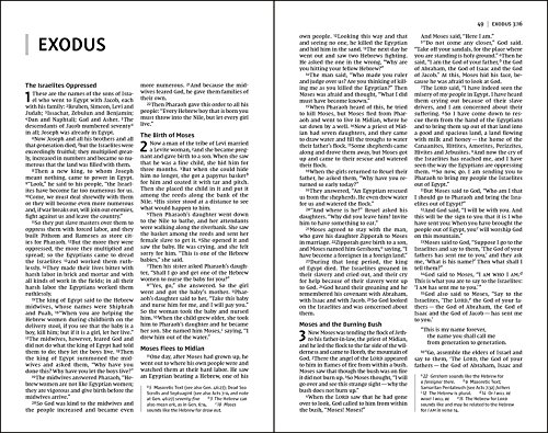 NIV, Outdoorsman Bible, Lost Camo Edition, Leathersoft, Red Letter, Comfort Print: The Field-Ready Cover Blends In but the Words Stand Out with Comfort Print - Image 8