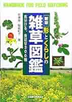 【値下げ中】三代目 岩田 パーフェクトワールド 去年の冬、きみと別れ 植物図鑑 値下げ中】三代目 岩田 パーフェクトワールド 去年の冬、きみと