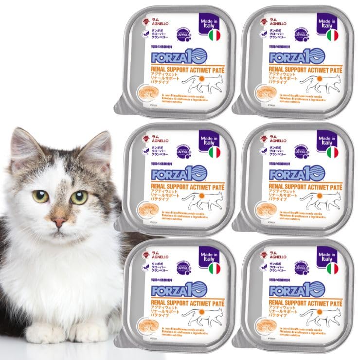 Forza10 for Cats (Kidney Care), Cats, Kidney Disease, Chronic Renal Failure, Kidney Failure, Wet Food, Wet Food, Pet Food, Lamb, General Nutrition Diet (3.5 oz (100 g) x 6)