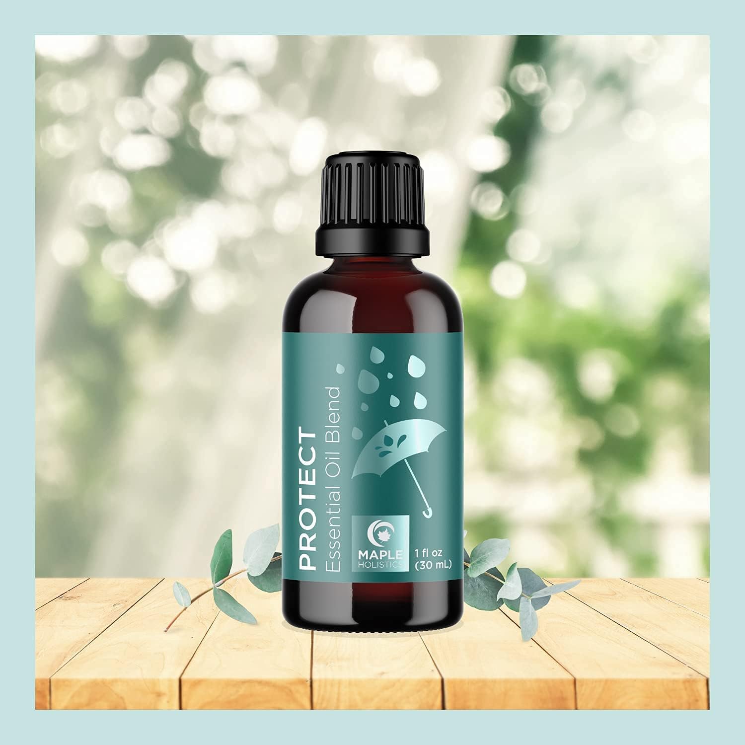 Maple Holistics Essential Oil Set - Breathe Protect and Defend Purifying Essential Oil Blends for Diffuser Aromatherapy and Baths - Relaxing Essential Oils for Diffusers for Home