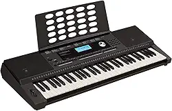 Roland E-X20A Teclado Arranjador com 61 Teclas e Acompanhamento Automático