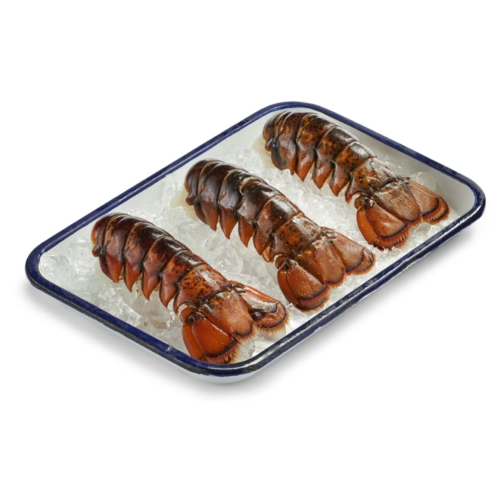Lobster Tail 4 Ounce Grocery & Gourmet Food