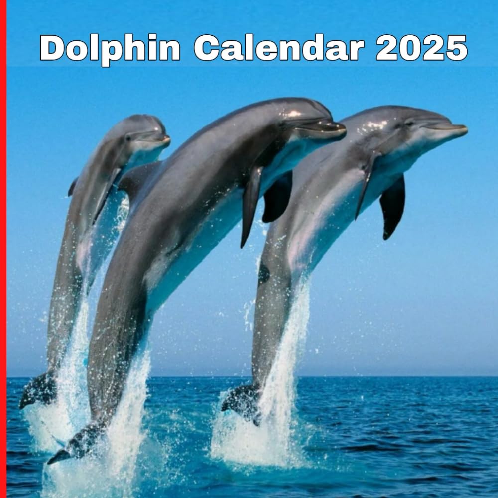 Amazon.co.jp Dolphin Calendar 2025 Shaq, Thomas 洋書