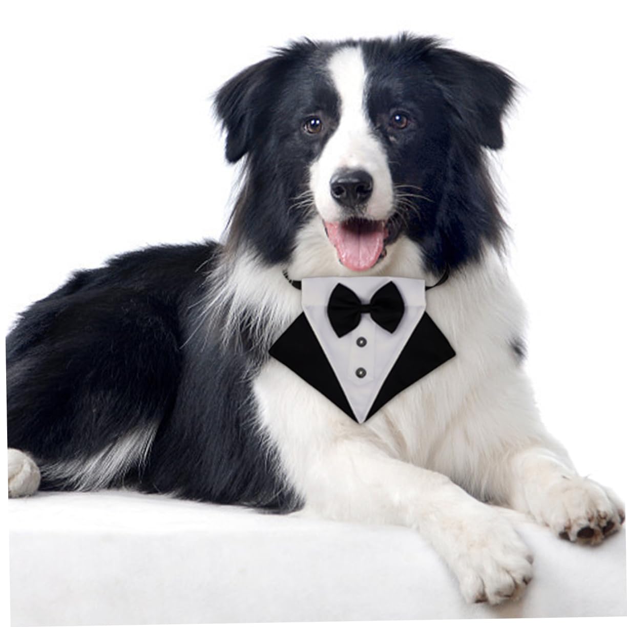 BESPORTBLE 3juegos Bandana Triangular para Perros Babero para Mascotas Accesorio De Moda Talla para Mantener Limpio Tu Perro Al Comer