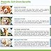 Probiotics for Dogs - Treats - for Digestion, Diarrhea Relief, Regularity, Promotes Immune System and Digestive Health - Bacon Flavor - 65 Soft Chews