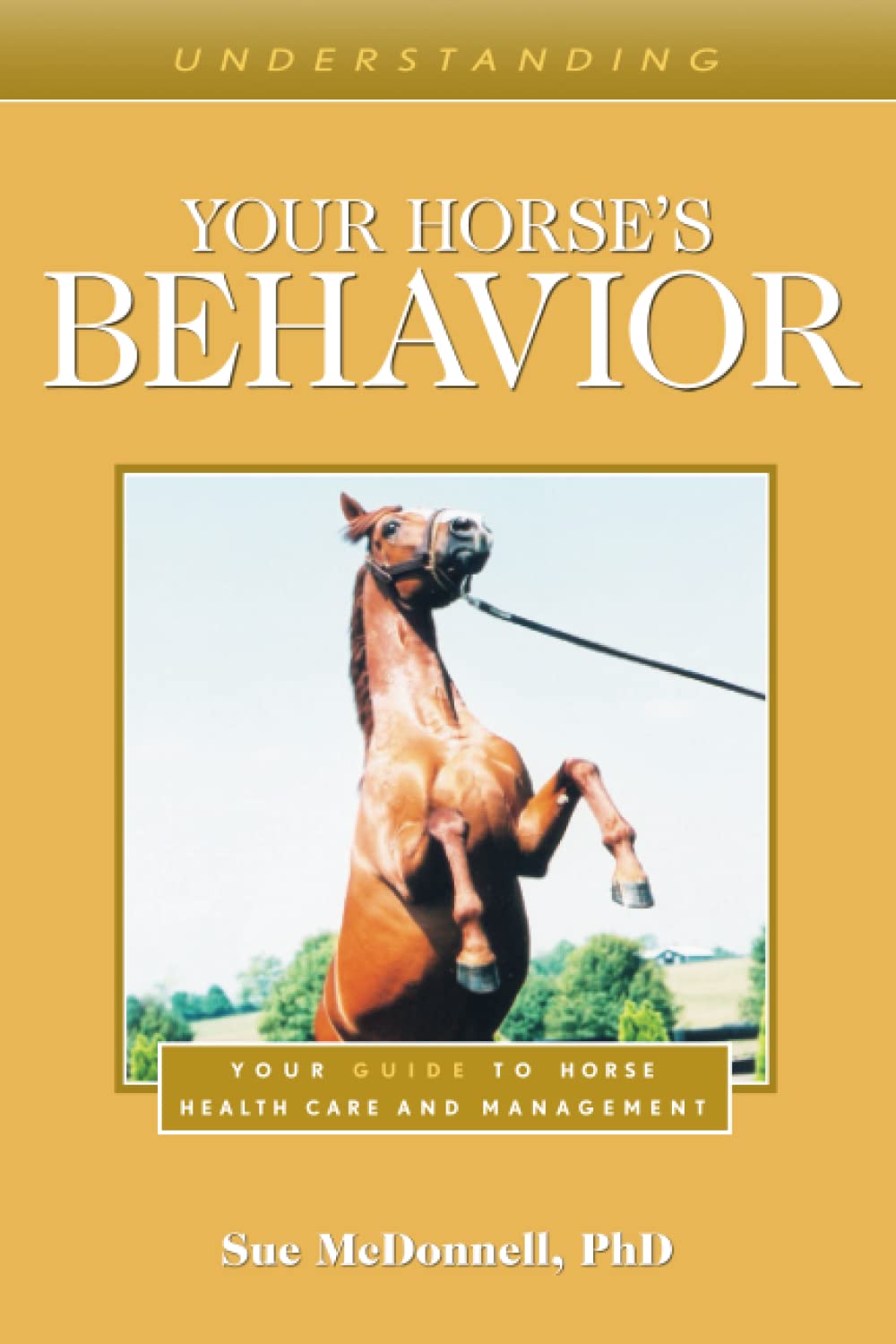 Understanding Your Horses Behavior Your Guide To Horse Health Care ...