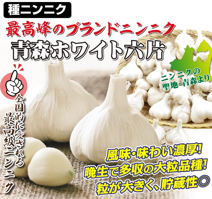 Amazon | 国華園 ニンニク 種球 ホワイト六片 バラ (青森産) 500g 特価