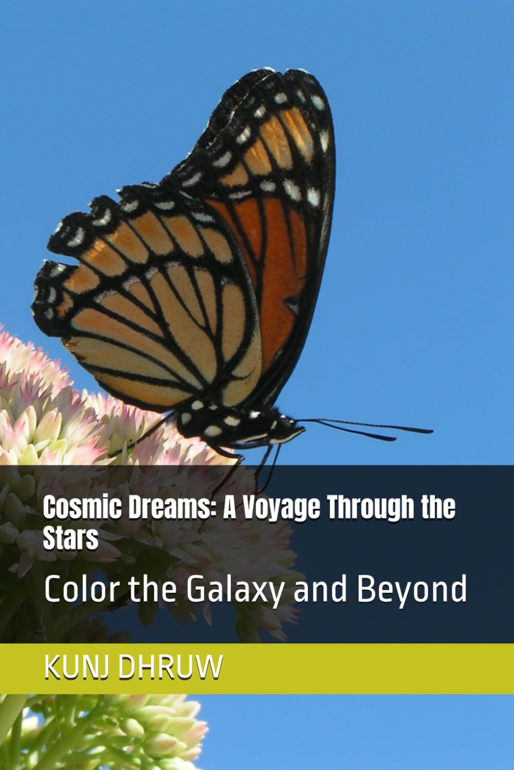 Cosmic Dreams: A Voyage Through the Stars: Color the Galaxy and Beyond