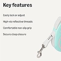 Vista 2 de Yaxa Basics Correa retráctil para perros S