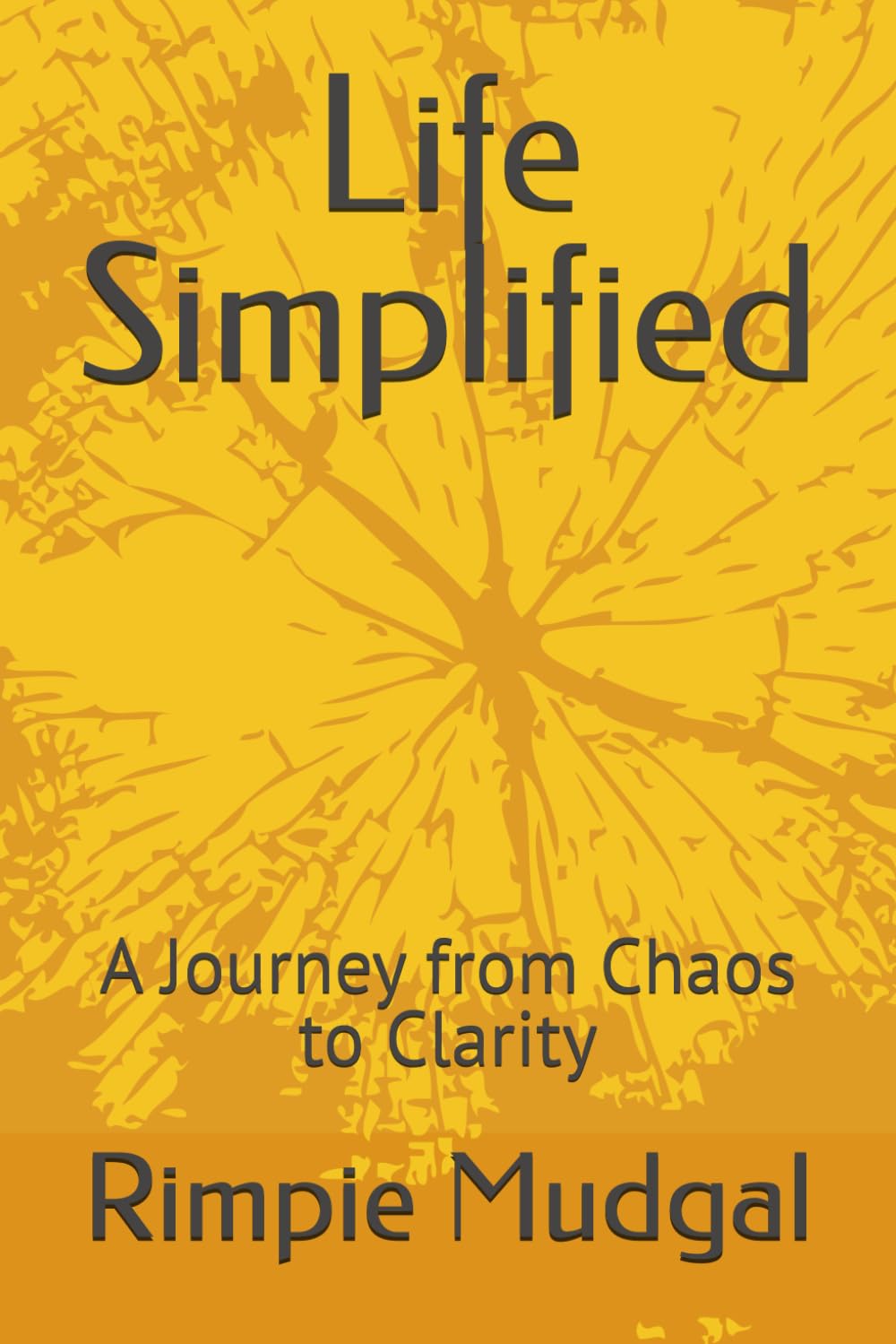 Life Simplified: A Journey from Chaos to Clarity