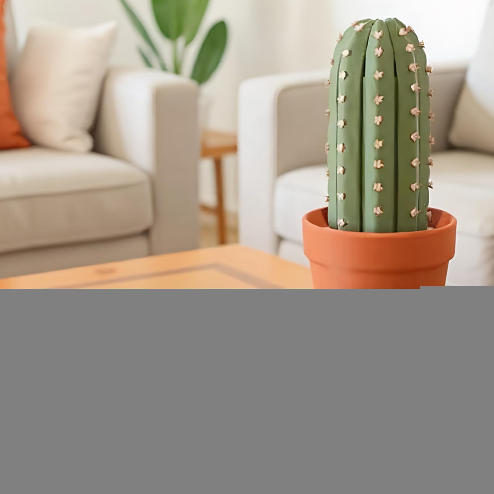 Set Scacchi Cactus, Arrotolabile Set Scacchi Cactus, 3D Stampata Magnetica Scacchiera Divertenti Cactuses, Portatili Arrotolabili Sets Scacchis Viaggio Pezzi Unici Piante Grasse, Per Bambini Adulti
