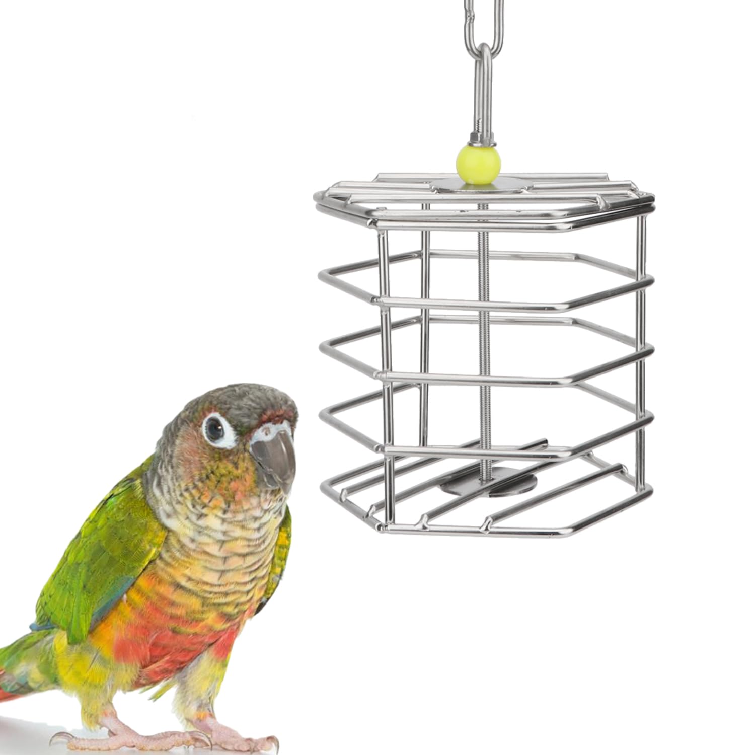 Hypeety Mangeoire unique à suspendre pour cage à oiseaux avec blocs