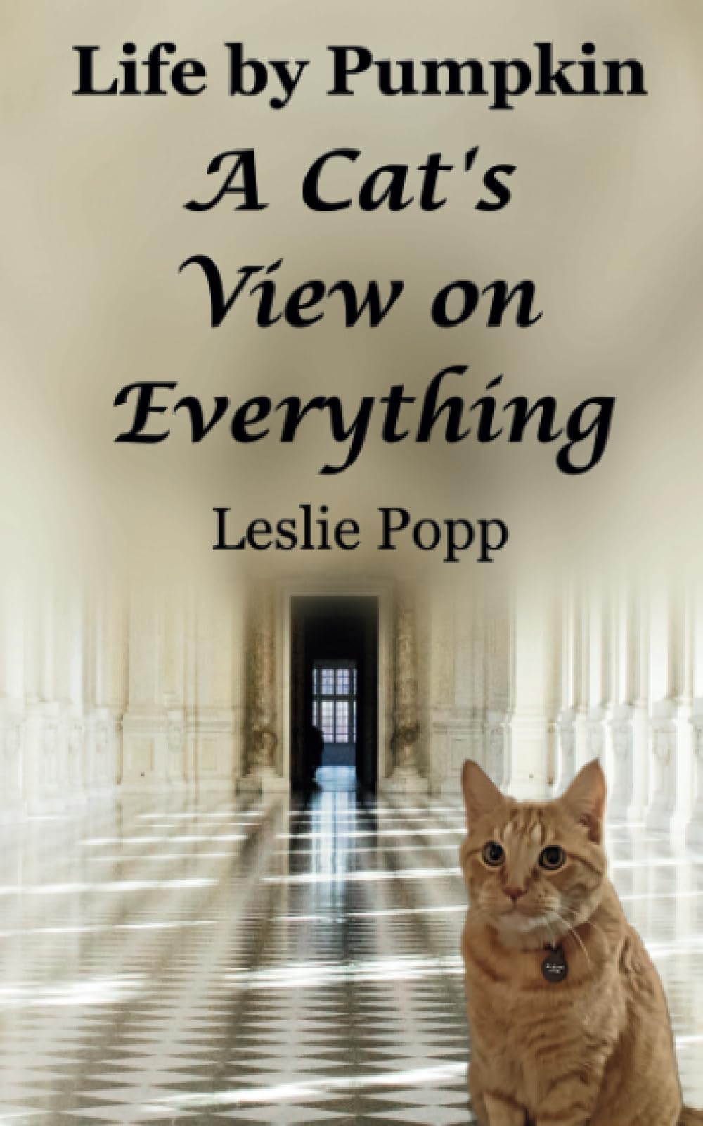 Life by Pumpkin: A Cat's View on Everything