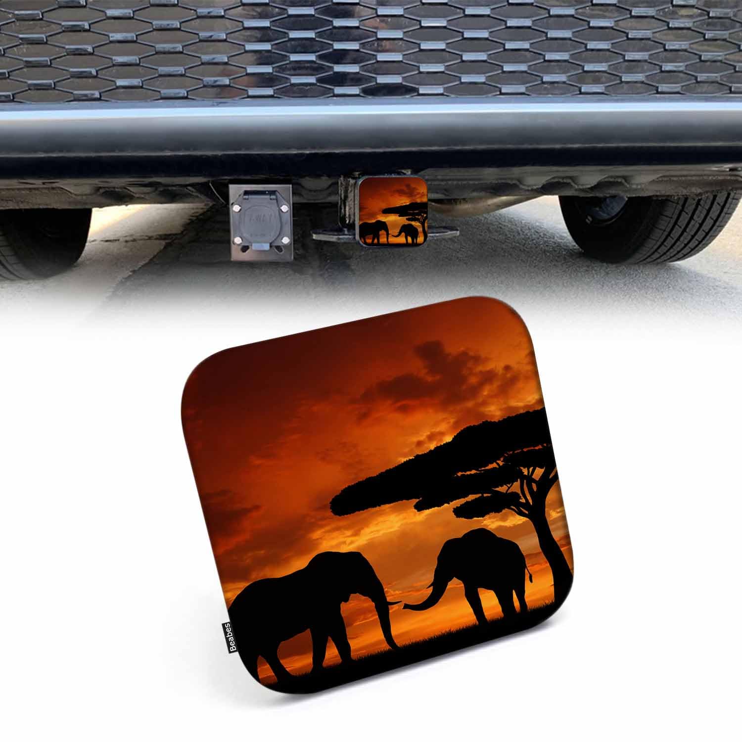 Tnomchey Compass Rubber Hitch Cover - Vintage Nature Design, Fits 2 Inch Receivers, Protects Against Dirt & Rust