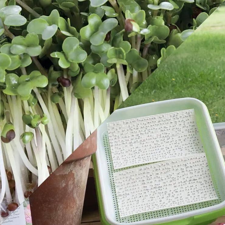 Park Seed Easy DIY Planting Sow Effortless Collection Seed Mats, Microgreens Kit