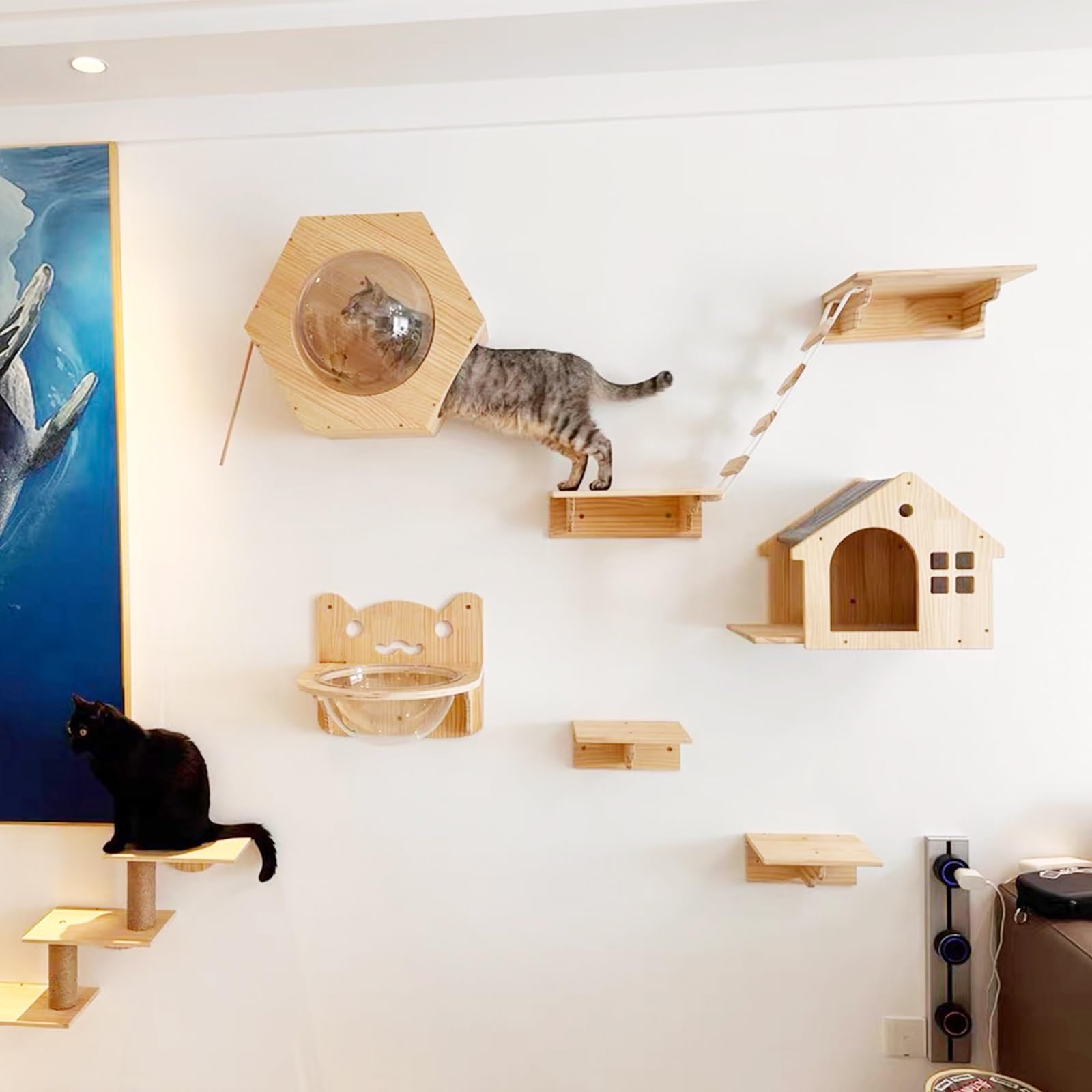 Mensole per Gatti da Parete, Scaffale Solido per Gatti, Scaffali e Trespoli per Gattini, Tiragraffi Gatto, per Dormire, Giocare, Arrampicarsi e Rilassarsi sul Muro(5pcsA)