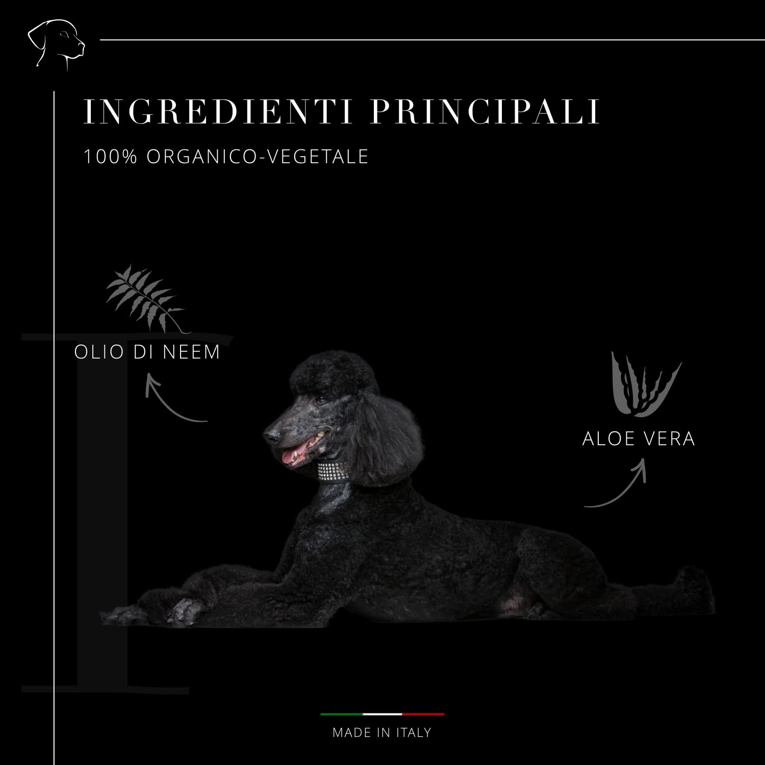Dog's Health – shampoo per cani 500ml - shampoo Districare pelo cane - Sciogli Nodi pelo cane. shampoo per cani pelo lungo e pelo corto, Con olio di Argan, di Neem e Aloe Vera. senza OGM