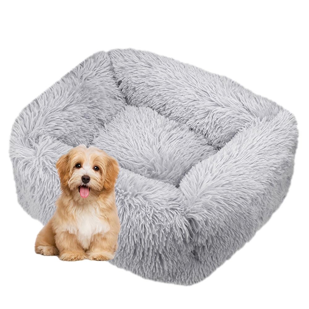 Rettangolo Cuccia Cane Interno, Peluche Cuccia Gatto e Cane Colore Macaron Cuscino per Cani, Lavabile Cuscino per Animale Domestico, per Cani Gatti Gattino (XXL,Grigio Chiaro)