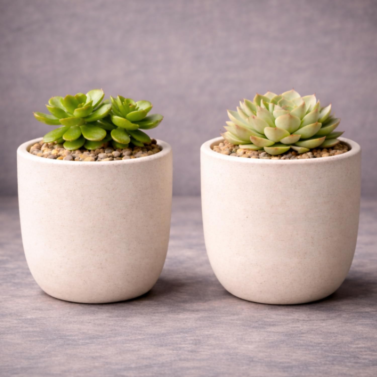 GardenSkill Scandi Style Indoor Plant Pot 12.5CmMochaPack 2Small Flowerpot Planter With Drip Tray For Succulent Herb Cactus Home Decor from B&Q