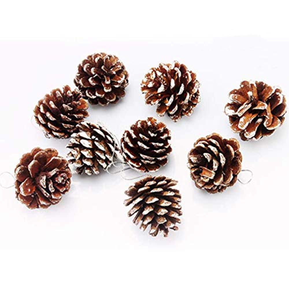 Amazon.co.jp: Seagold 24個 クリスマス 松ぼっくりオーナメント 天然