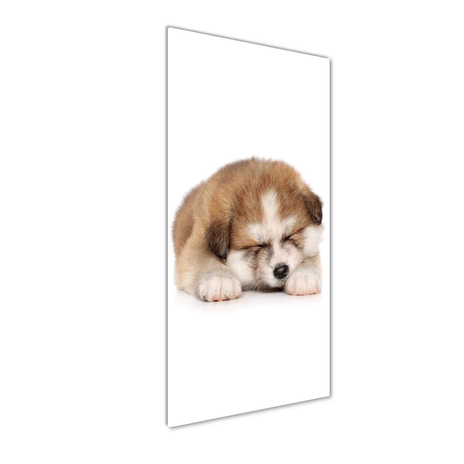 Tableaux pour la mur acrylique Tulup pour sublimer un salon sombre