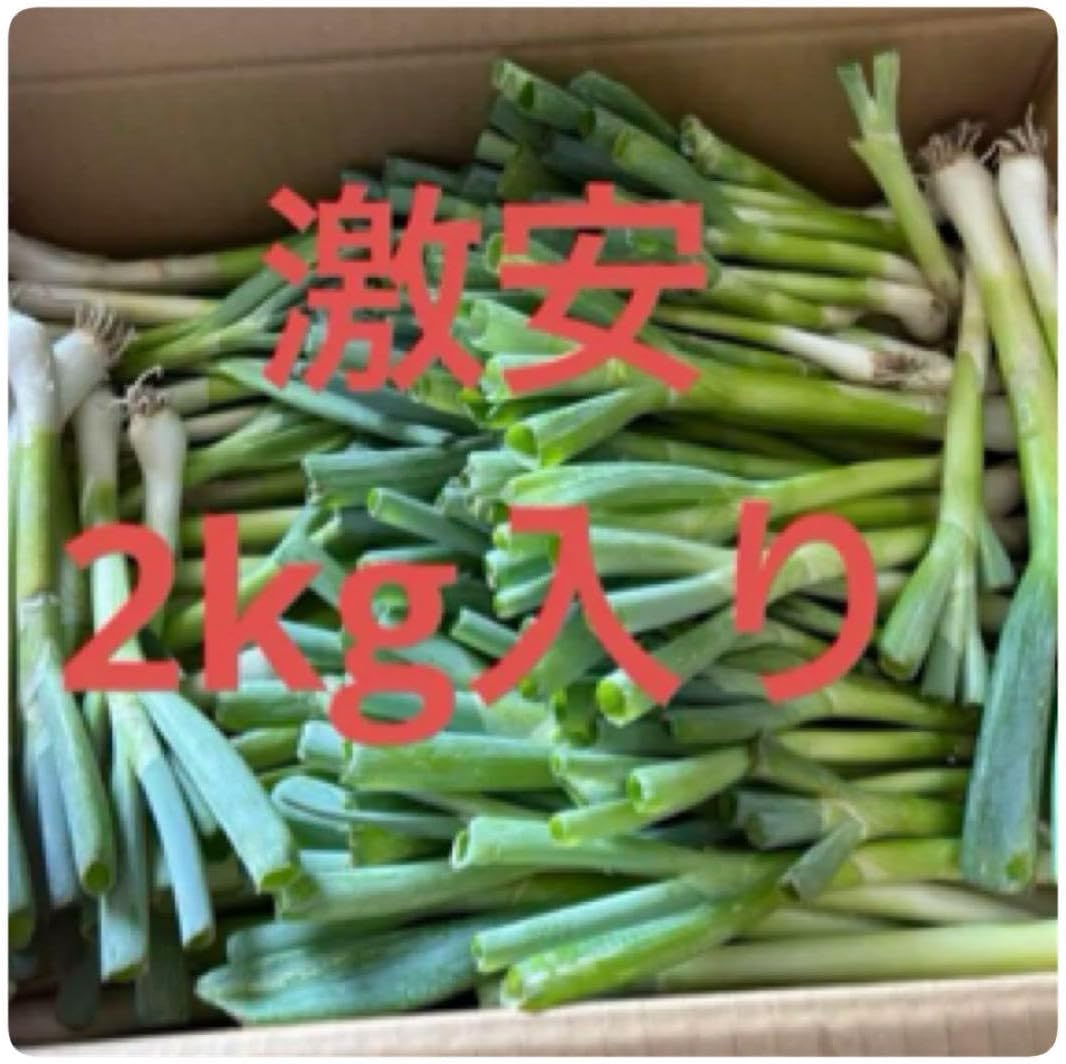 おじいちゃんが孫の為に栽培期間に農薬不使用で作ったキャベツ 【公式