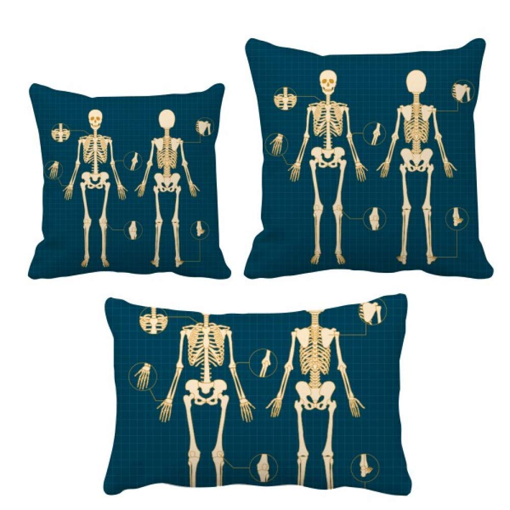 Coussin squelette humain avec garnissage a offrir en idee cadeau originale
