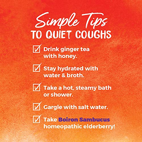 Boiron Sambucus Nigra 6C Homeopathic Medicine For Cough And Cold Relief, 3 Tubes, 240 Count #TOP7