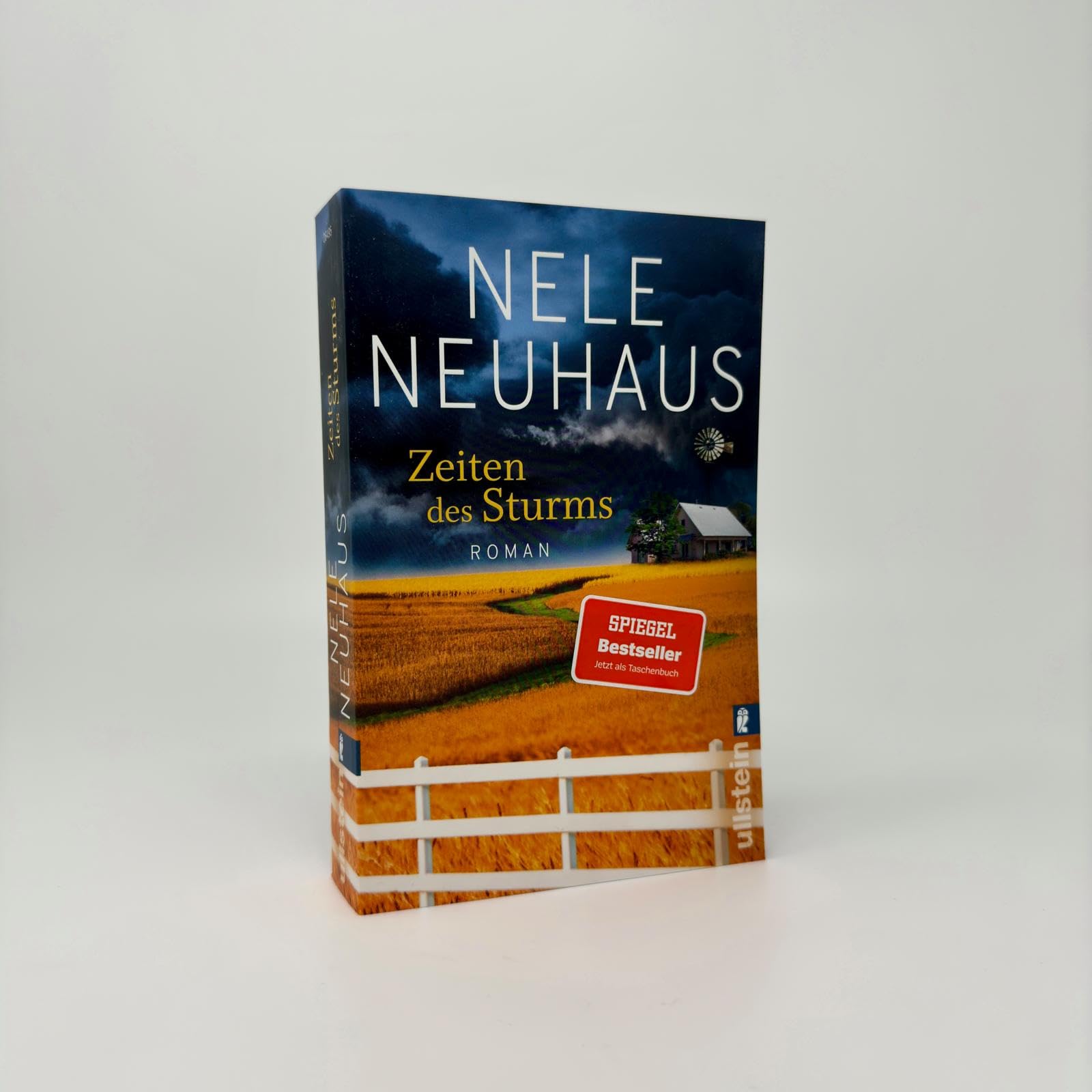 Zeiten des Sturms: Roman: 3
