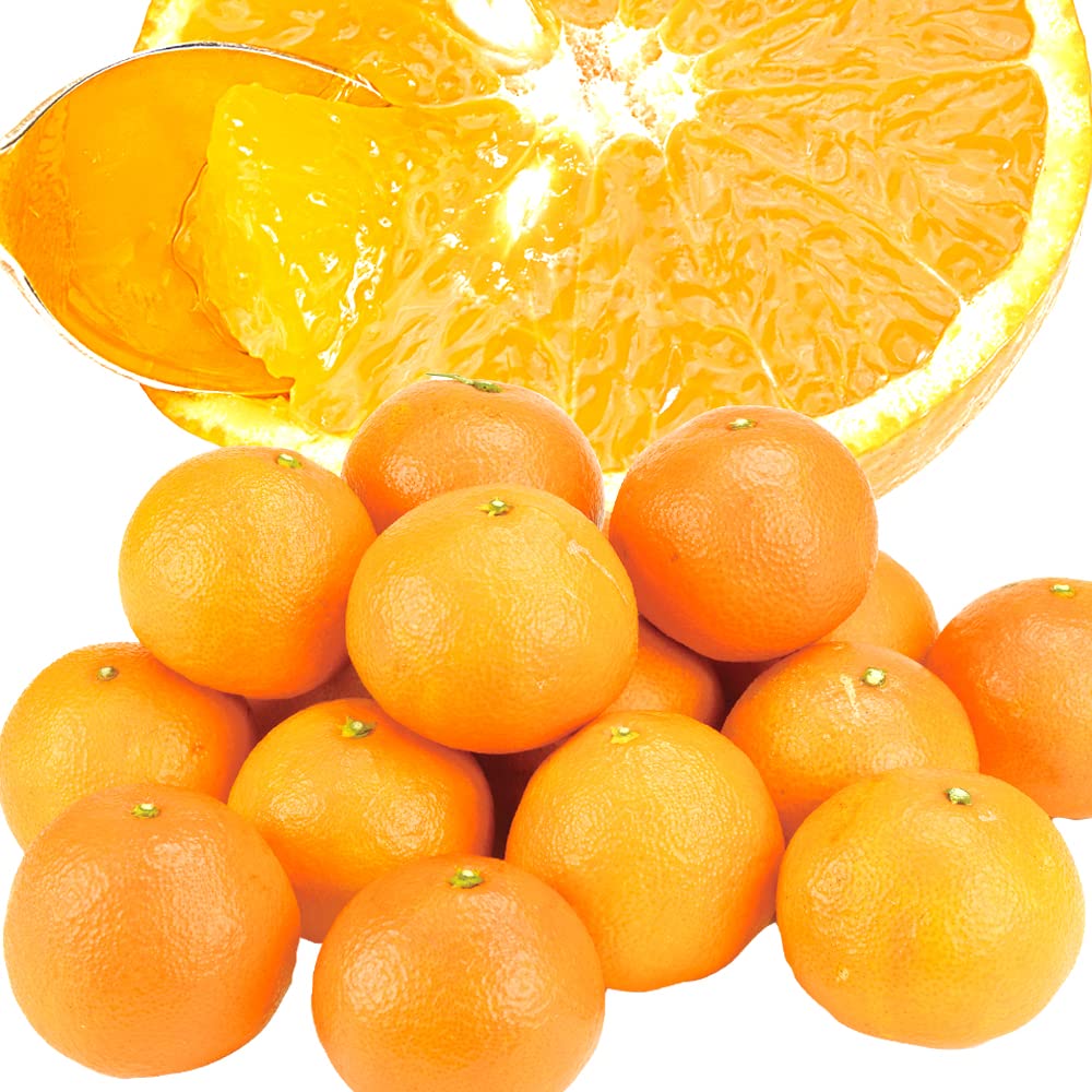 Amazon.co.jp: みかん 10kg お買得 サンセレブ 大分産 柑橘 果物