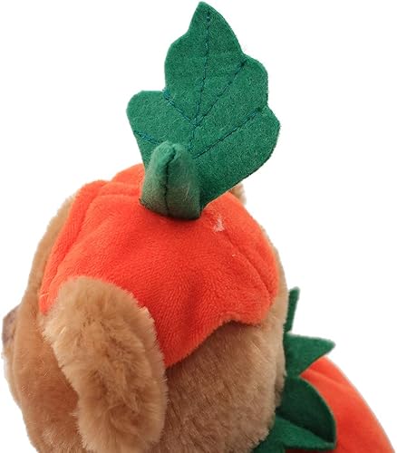 Miniatura 4 de Plushland Oso de peluche de Halloween con disfraz de calabaza, juguete suave, regalos para niños, 9 pulgadas