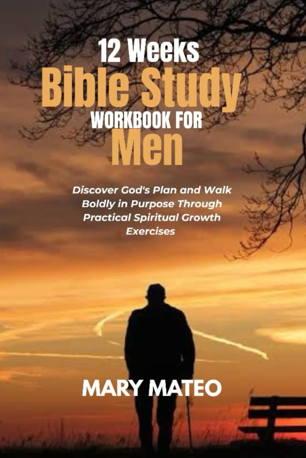 12 Weeks Bible Study Workbook for Men: Discover God's Plan and Walk Boldly in Purpose Through Practical Spiritual Growth Exercises